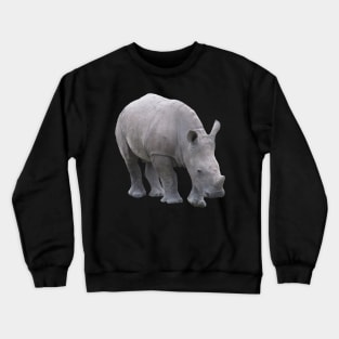 Rhino Baby - Rhino - Wildlife in Africa Crewneck Sweatshirt